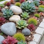 Close-up view of a succulent rock garden border featuring various succulents and stones