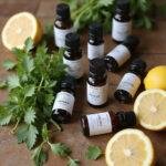 Assorted essential oils surrounded by herbs and citrus fruit for immune boosting